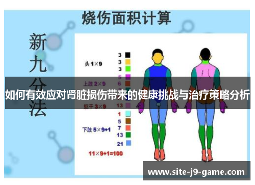 如何有效应对肾脏损伤带来的健康挑战与治疗策略分析