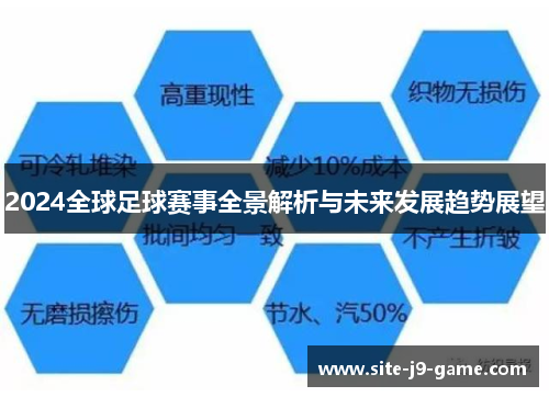 2024全球足球赛事全景解析与未来发展趋势展望