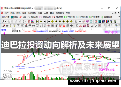 迪巴拉投资动向解析及未来展望 迪巴拉投资动向解析及未来展望