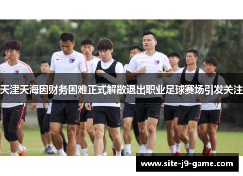 天津天海因财务困难正式解散退出职业足球赛场引发关注