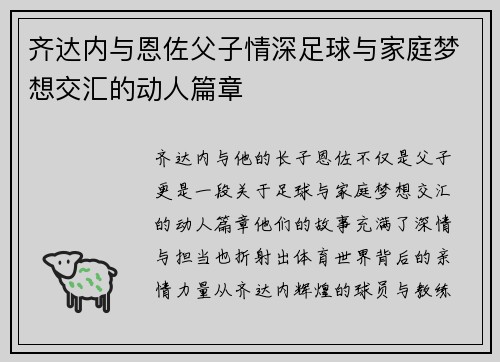 齐达内与恩佐父子情深足球与家庭梦想交汇的动人篇章
